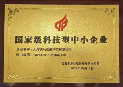 国家级科技型中小企业